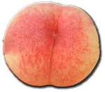  알레르기 도대체 뭐에요?