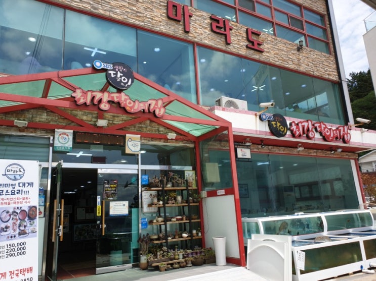  포항 물회 맛집 :: 마라도회식당 생활의 달인에 나온 그 집!
