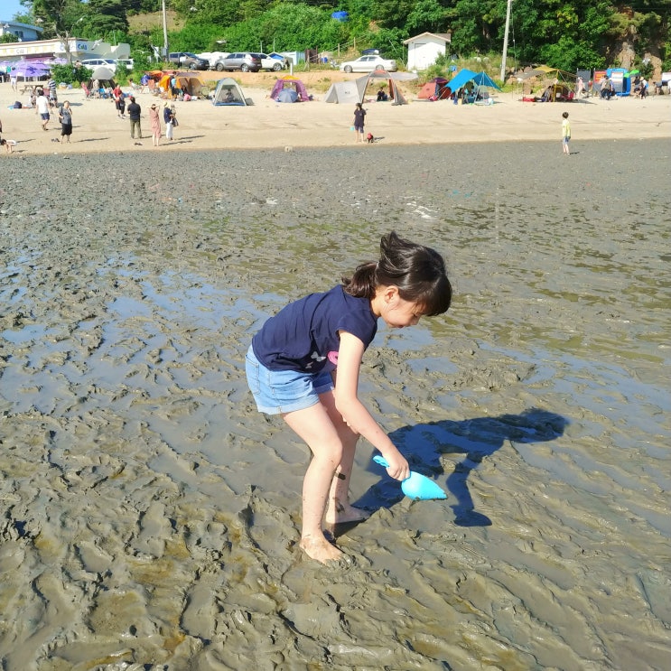  석모도 민머루해수욕장 갯벌 체험 물때 확인하세요~