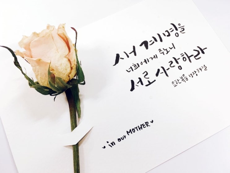  신동아를 통해 바라본 하나님의교회 봉사활동 소식