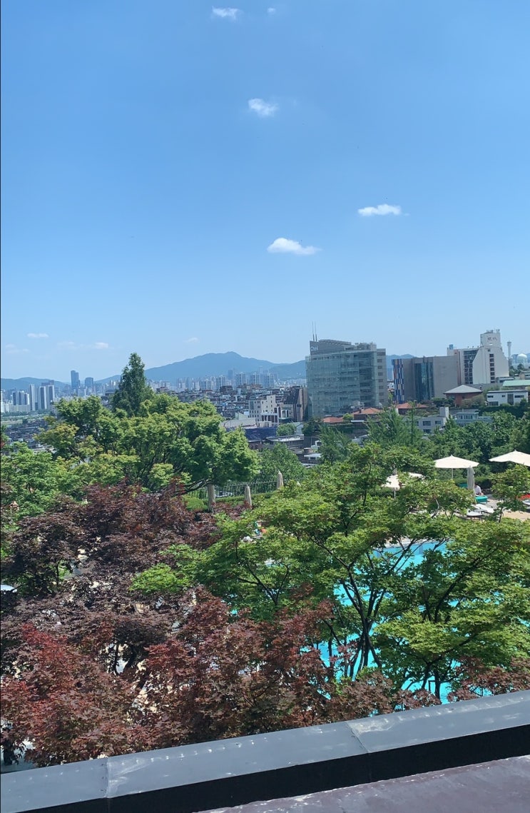  [그랜드 하얏트 서울] 스테이크 하우스