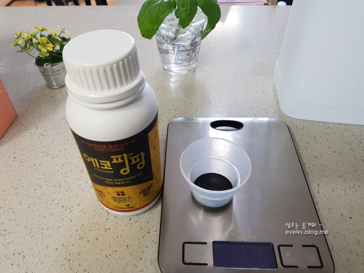  열매채소 비료주기 :: 유기농 에코팡팡 뿌려주기!