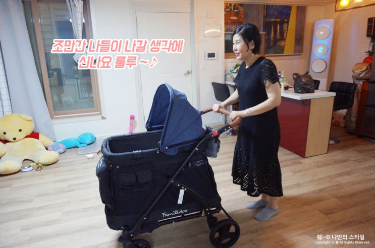  유아웨건 넓은 공간 접이식 레스떼 댕댕이도 태운 후기