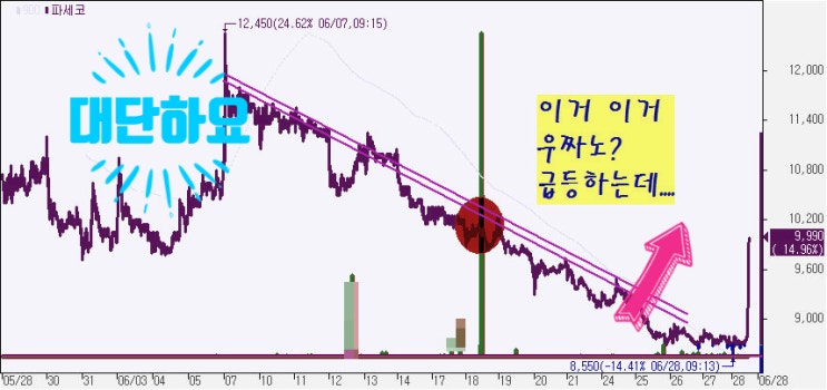  파세코
