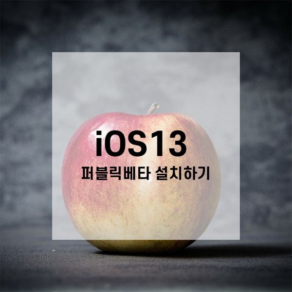  iOS13 퍼블릭베타 설치하기 feat 아이패드 에어3