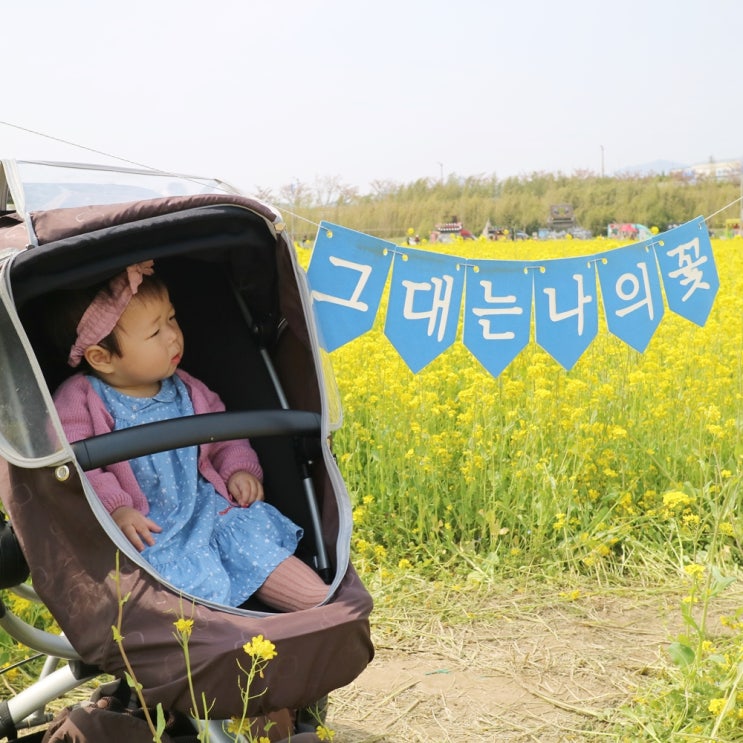  2019년 4월 - 11개월차