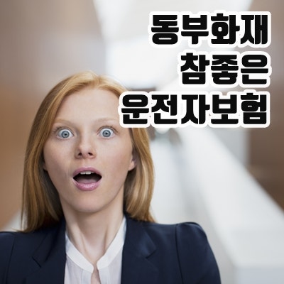 동부화재참좋은운전자보험 DB 다이렉트 운전자보험 가입 조건 , 가격 체크!