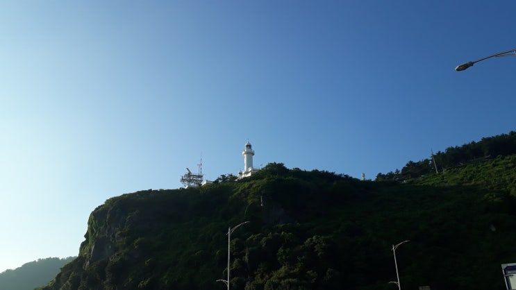  바다낚시 초보 입문자들이 꼭 알 아야할 낚시장르와 기본용어