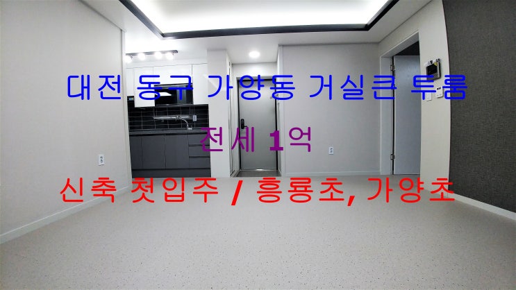  (대전 동구 가양동) 가양초등학교, 흥룡초등학교 인근에 있는 신축 첫입주 ! 거실큰 전세 투룸입니다 ^^