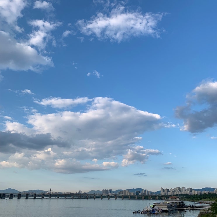 2019.06 일상 / 잠실 한강공원 날씨가 다 했네 2019.06 일상 / 잠실 한강공원 날씨가 다 했네