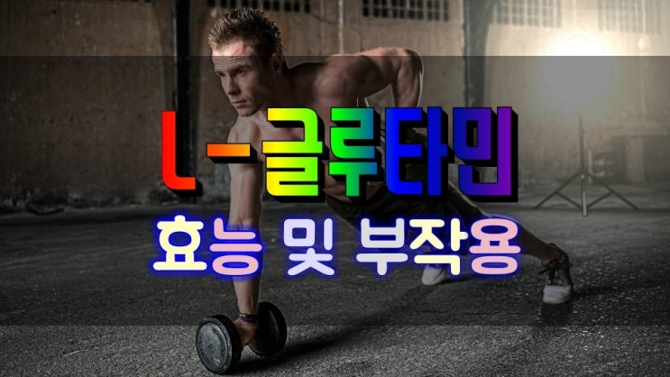  근육 성장을 돕고 사고력을 높이는 L-글루타민 효능 및 부작용