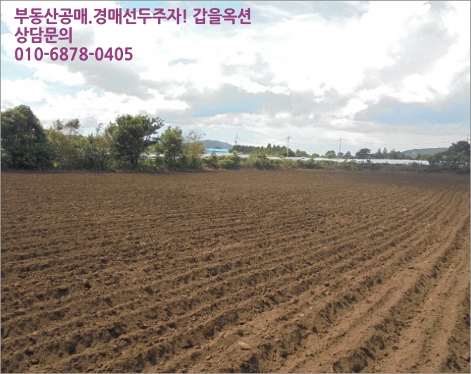  (제주 서귀포시토지(임야)경매) 서귀포시 표선면 가시리 639-9  2018타경5265 예상낙찰가