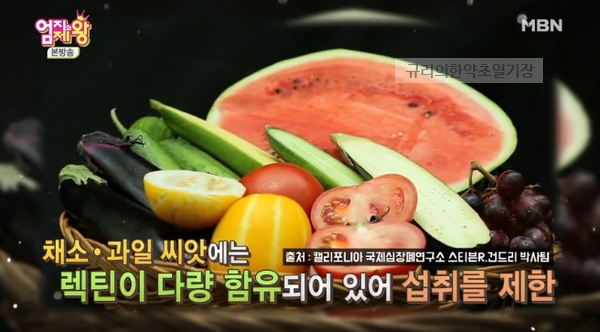 면역력 높이는 음식 채소와 과일의 씨앗 속 독소 렉틴 제대로 먹는법! 익힌 토마토 주스와 발효 소금 가지