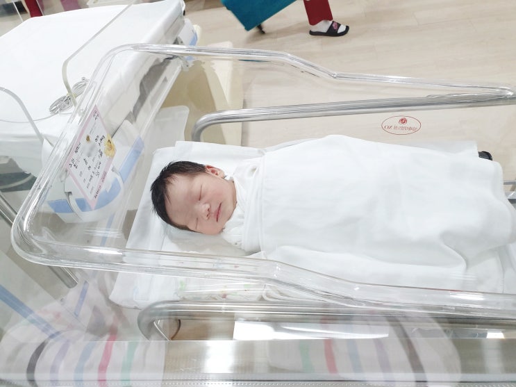  시흥 정왕동 예진 산부인과 제왕절개 후기 2