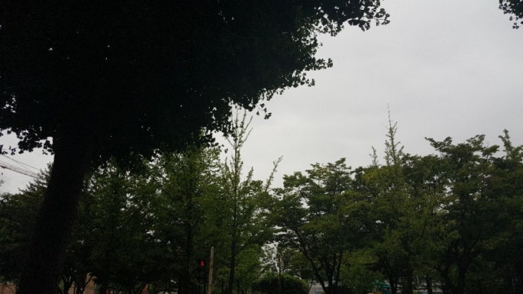  사람을 가지고 가는사람은