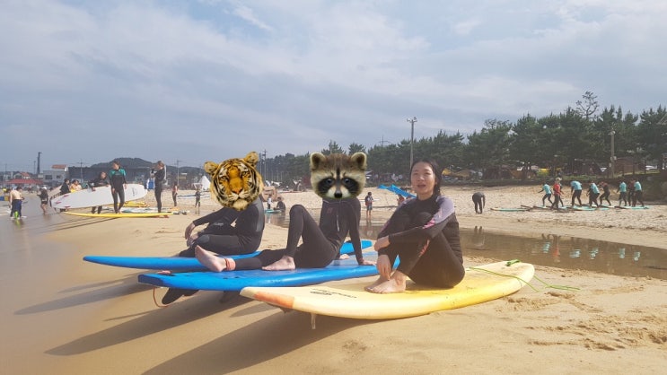  양양 서핑 / 양양 게스트하우스 캔디서프 후기