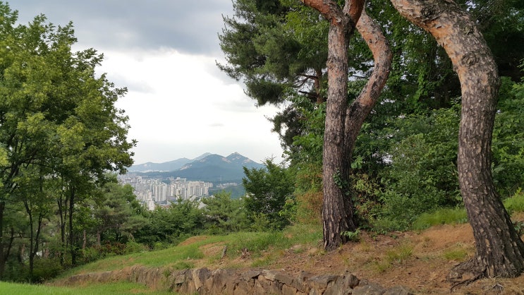  망우산 ~ 용마산, 중랑천 응봉역까지 걷기