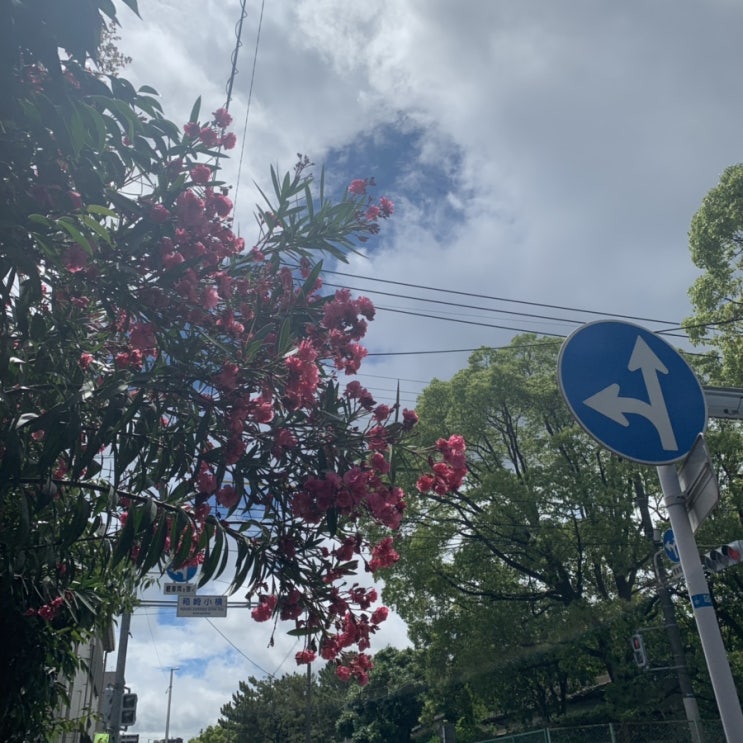  헉 23.5