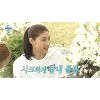 '나혼자산다' 김연경→이연희·혜리까지..운동회서 폭발한 '최강 승부욕' '나혼자산다' 김연경→이연희·혜리까지..운동회서 폭발한 '최강 승부욕'
