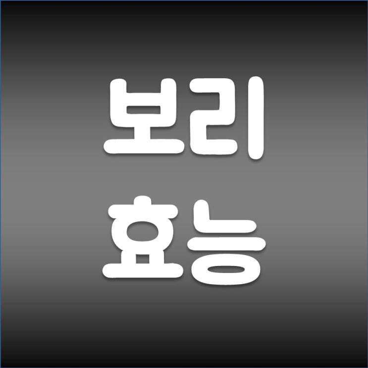  대장 건강에 좋은 보리 효능 검은보리 자색보리 녹색보리