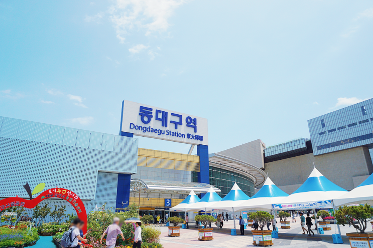  대구 여행 : 어쩌다 보니 대구에서의 1박