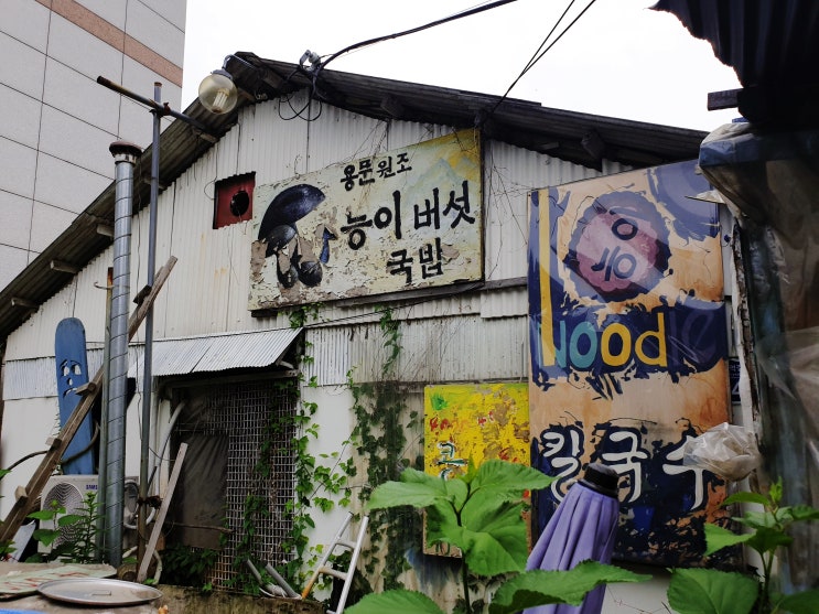  용문역 맛집 '용문원조능이버섯국밥'