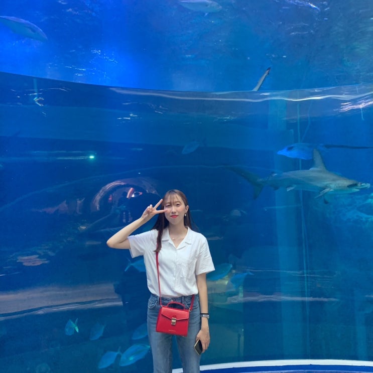  [응식x여수] 190625-190627 여수여행 1편 (1)