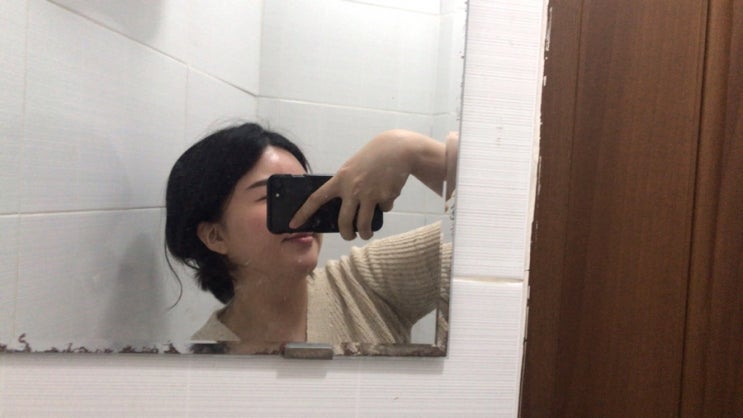  술로그