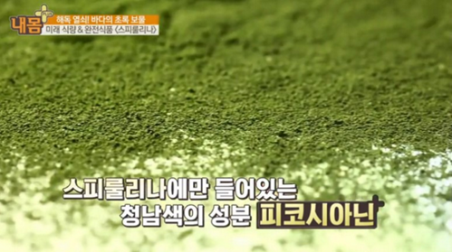  스피룰리나 미세먼지 제거 탁월! 중금속 흡착 억제에 효과적이다!