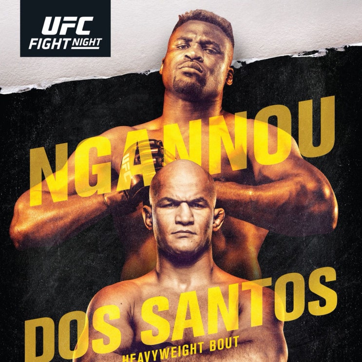  UFC on ESPN 3 프란시스 은가누vs주니어 도스 산토스 간단 프리뷰