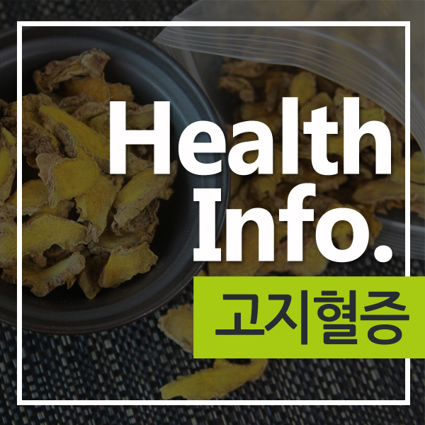  [고지혈증] 고지혈증에 좋은 음식::울금의효능