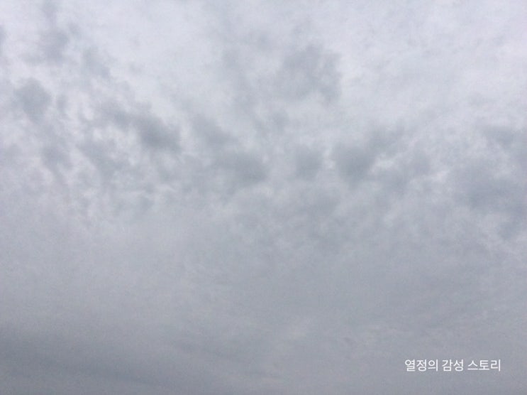 오늘 그리고 내일 통영/거제 날씨 2019.06.29(미세먼지 보통 35/)