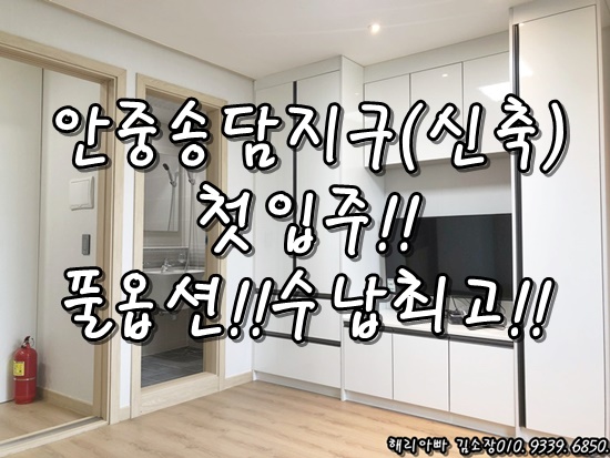  안중원룸 송담지구 월세 신축건물 수납 좋은 예쁜집