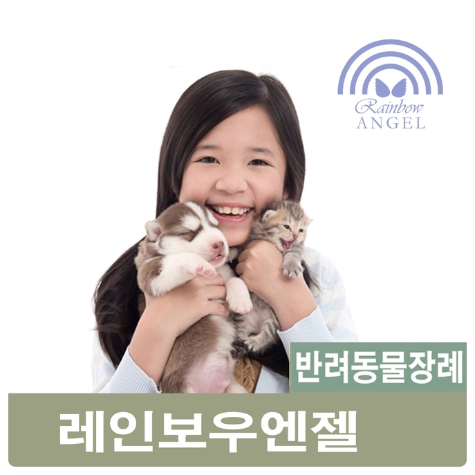  반려견죽었을때 고양이죽음?올바른 이별방법은? 반려동물장례식장 [레인보우엔젤]