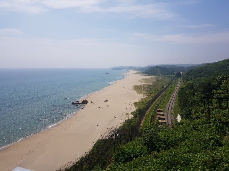  DMZ 평화의 길 및 속초 강릉 하루 여행