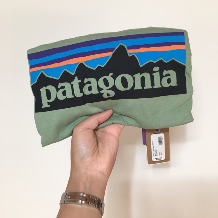 [Patagonia] 파타고니아 키즈 P-6 로고 오가닉 반팔티셔츠 Boys P-6 Logo Organic T-Shirt_2XL