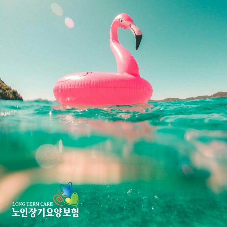  노인장기요양등급 판정절차와 장기요양등급 종류별 24시간 입주간병인 혜택