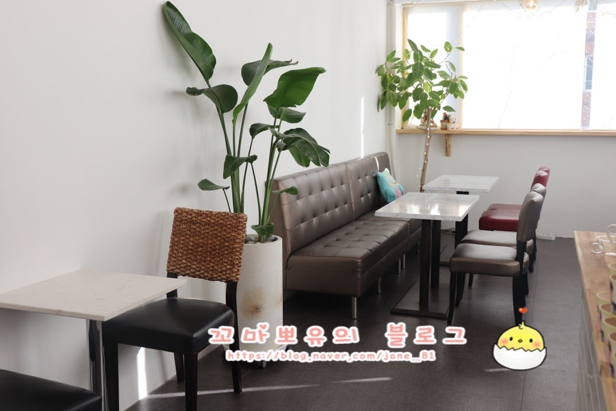 라루아르 사진 2