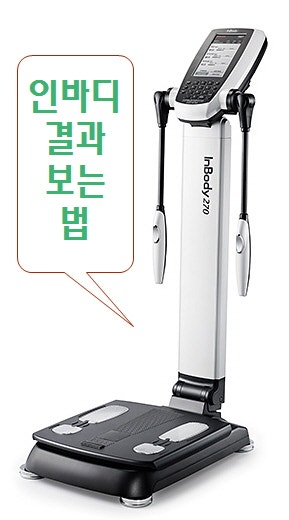 인바디 측정기 체중계와 근육량을 확인하고 싶다면