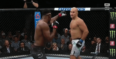 UFC 미니애폴리스 : 은가누 vs 도스 산토스, 피니시 영상 및 뒷얘기