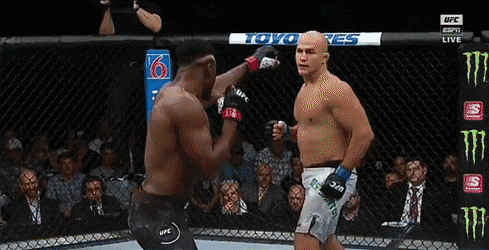 UFC 미니애폴리스 : 은가누 vs 도스 산토스, 피니시 영상 및 뒷얘기 UFC 미니애폴리스 : 은가누 vs 도스 산토스, 피니시 영상 및 뒷얘기