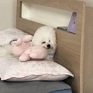  6월 끝