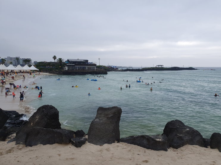  제주도 이야기(다섯째 날)_제주도 함덕해수욕장