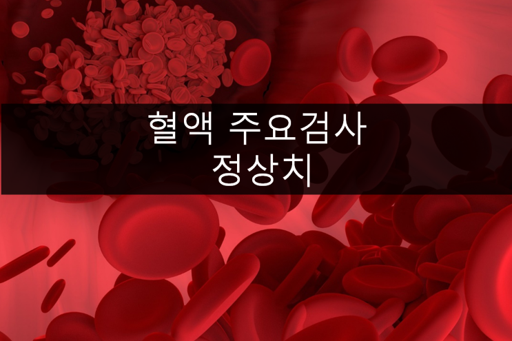  혈액 각 수치의 정상 기준(참고치)