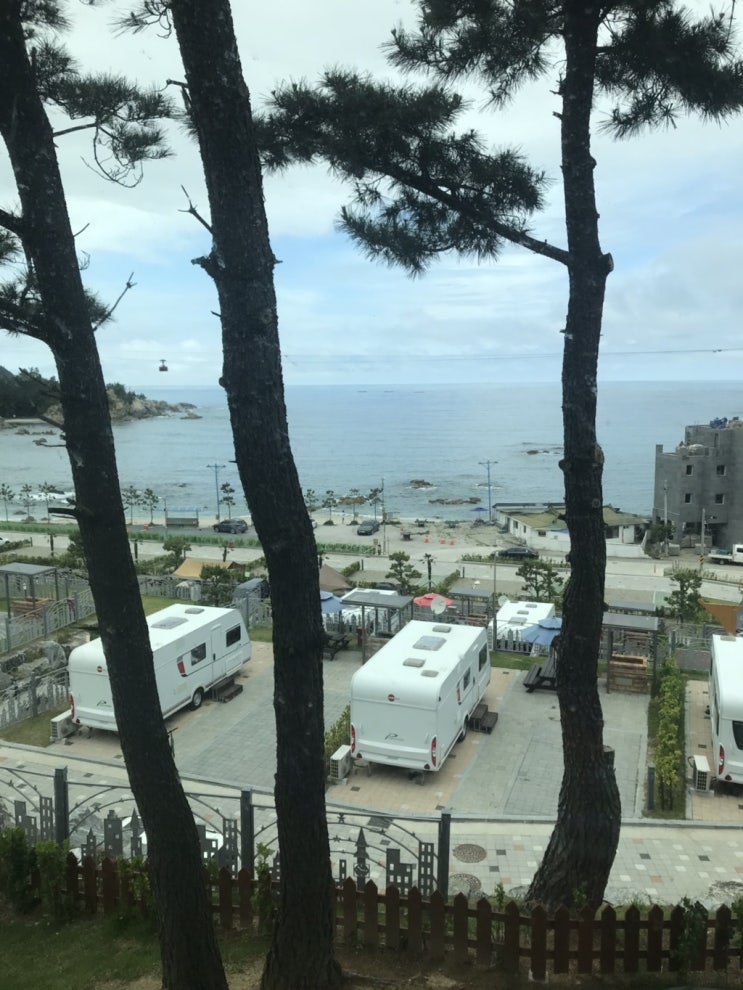  장호항 비치캠핑장