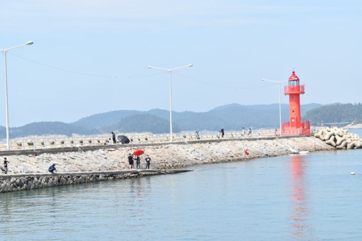 만리포해수욕장에 미우새 보안관팀이 떳다!