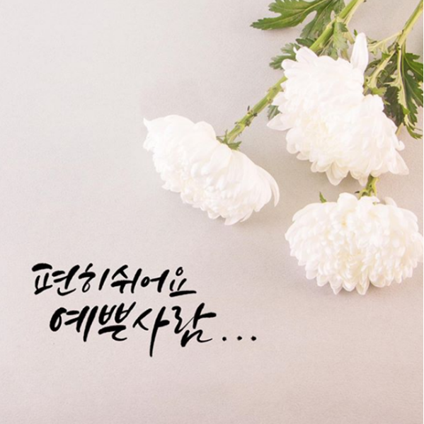  "편히 쉬어요 예쁜사람..." 故 전미선 조문행렬, 송강호