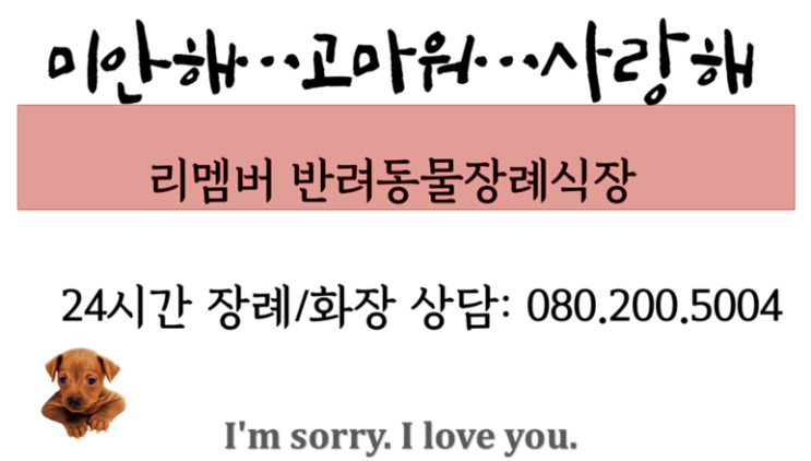  수원 강아지화장터 추천 리멤버
