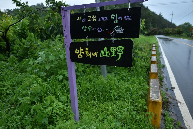  양희네 산야[구례 문척]2019.06.30