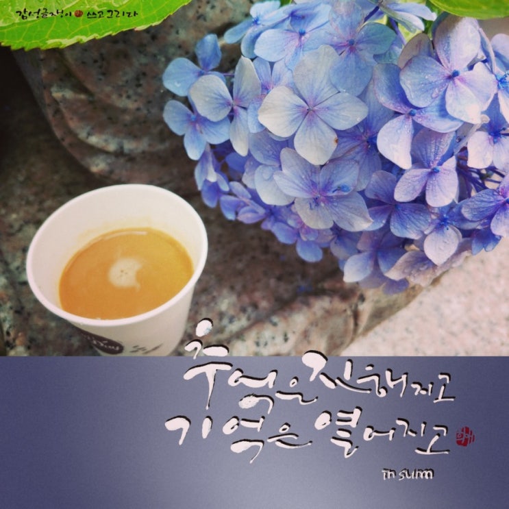  추억은진해지고